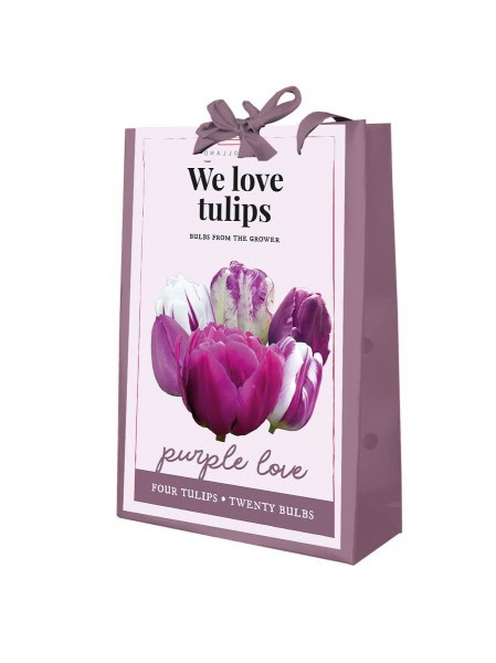 721.260 We Love Tulips - Purple Love